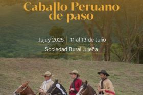 Jujuy se prepara para recibir el 16° Concurso Provincial del Caballo Peruano de Paso